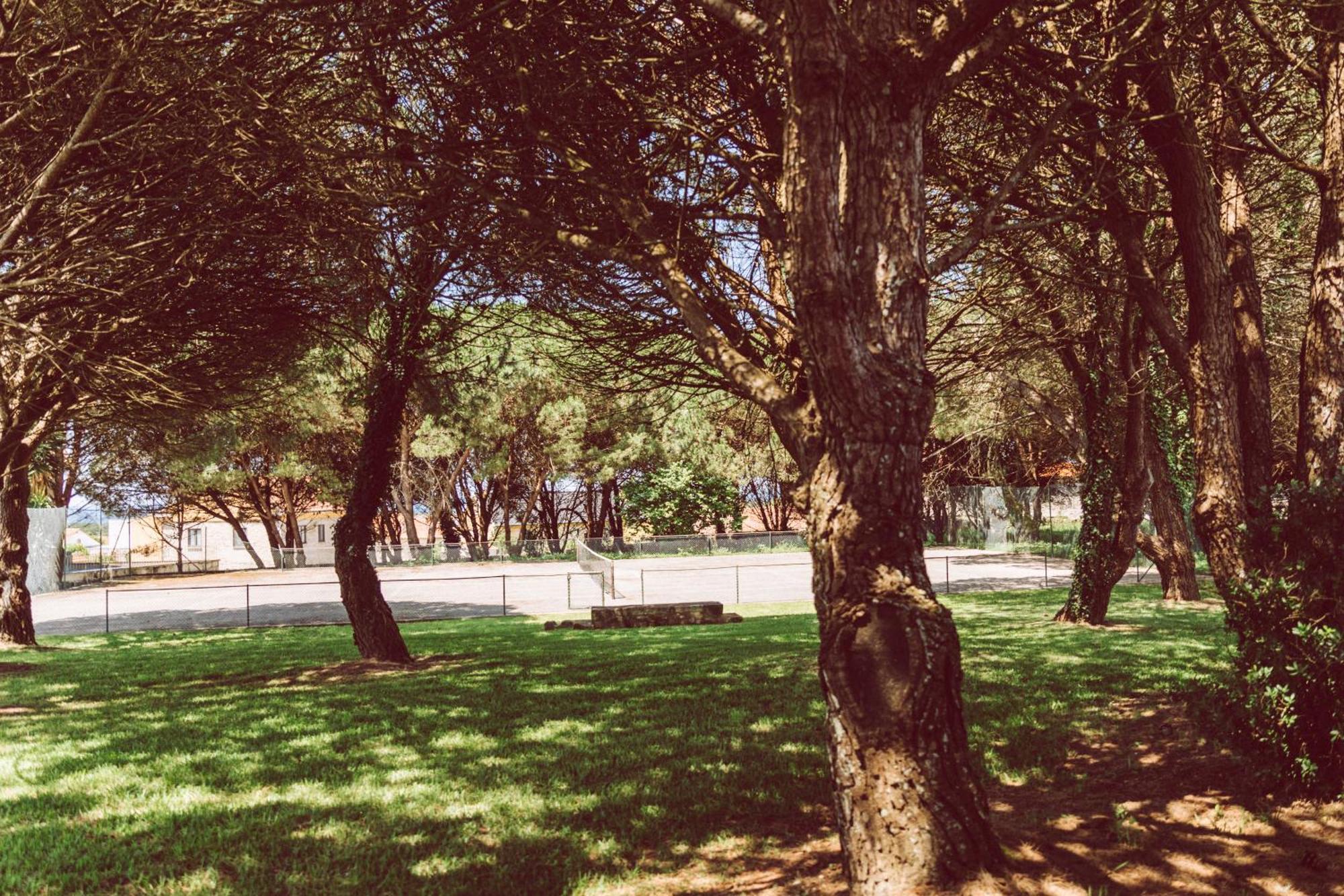 ויאנה דו קסטלו Quinta Do Monteverde מראה חיצוני תמונה